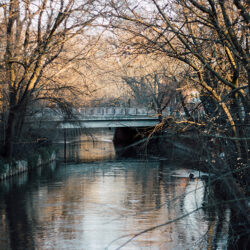 Eugene Field Park – Chicago